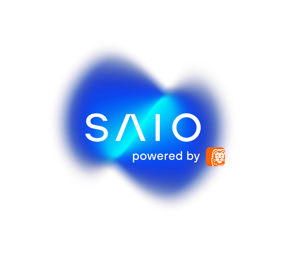 SAIO - Nidaros